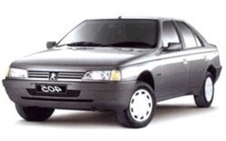 Peugeot 405 Chip Tuning